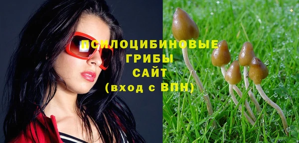 ALPHA PVP Алексеевка