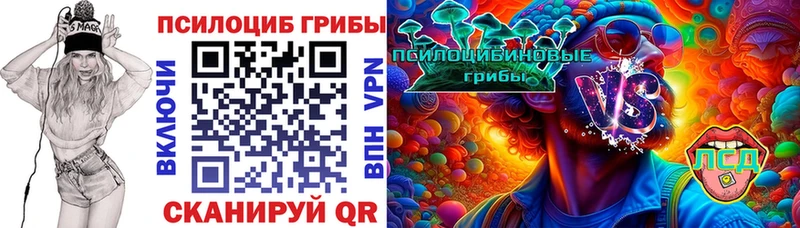 Купить где Дюртюли Псилоцибиновые грибы мухоморы